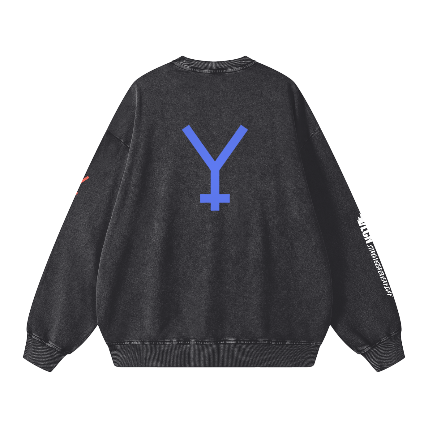 Snow Washed Oversized Sweatshirt