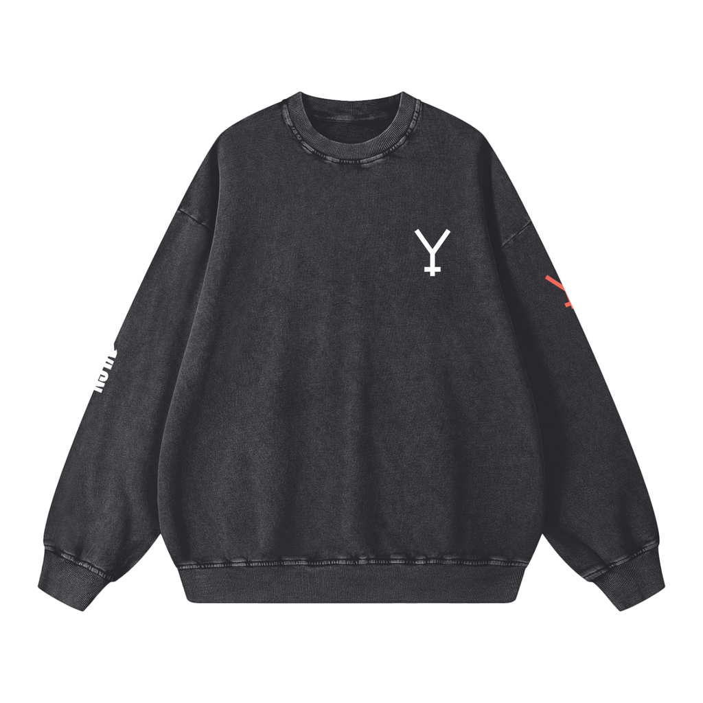 Snow Washed Oversized Sweatshirt