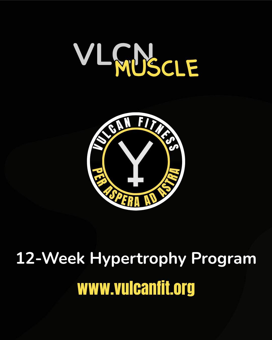 VLCN Muscle Program
